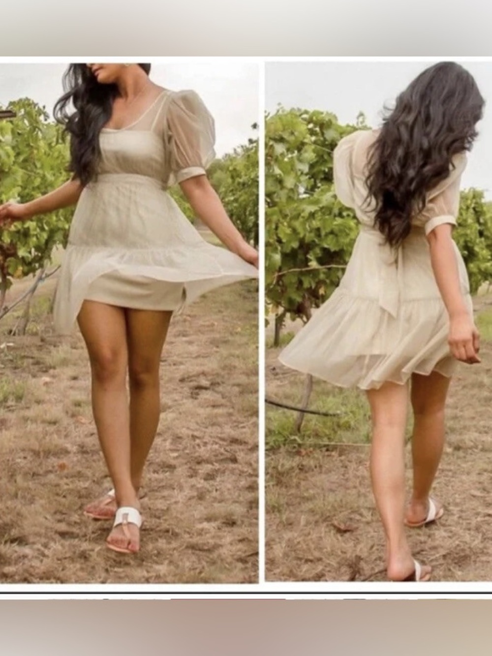 NWT DANIELLE BERNSTEIN Sheer Organza Puff Sleeve Mini Dress